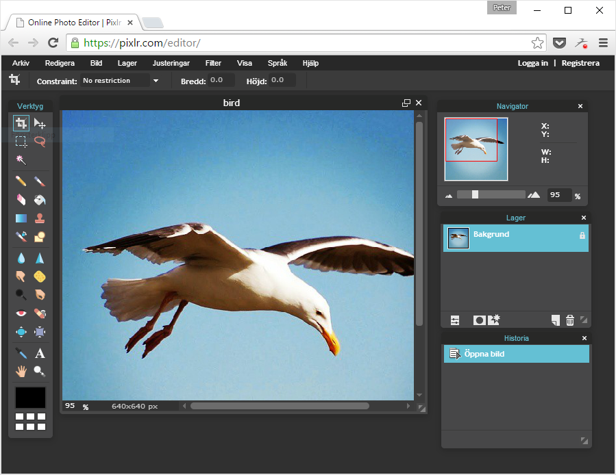 Skärmdump från det Photoshop-liknande verktyget Pixlr Editor.